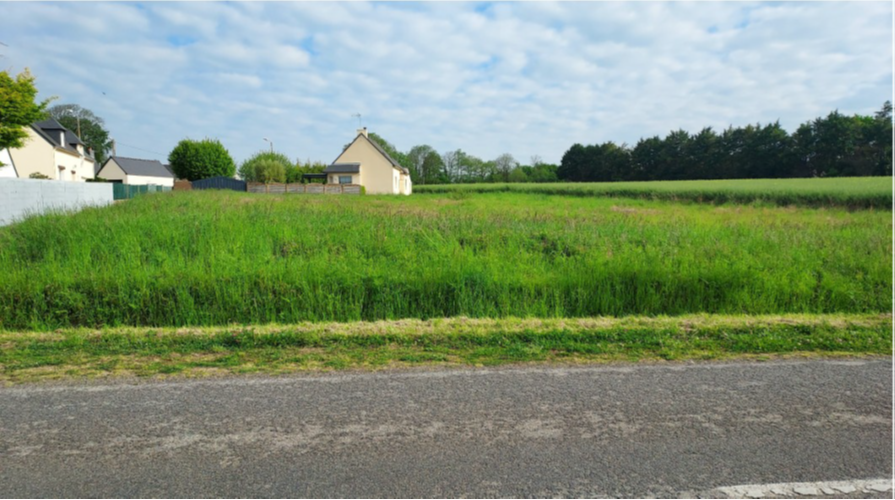 Lire la suite à propos de l’article Les Rossignols – Concarneau